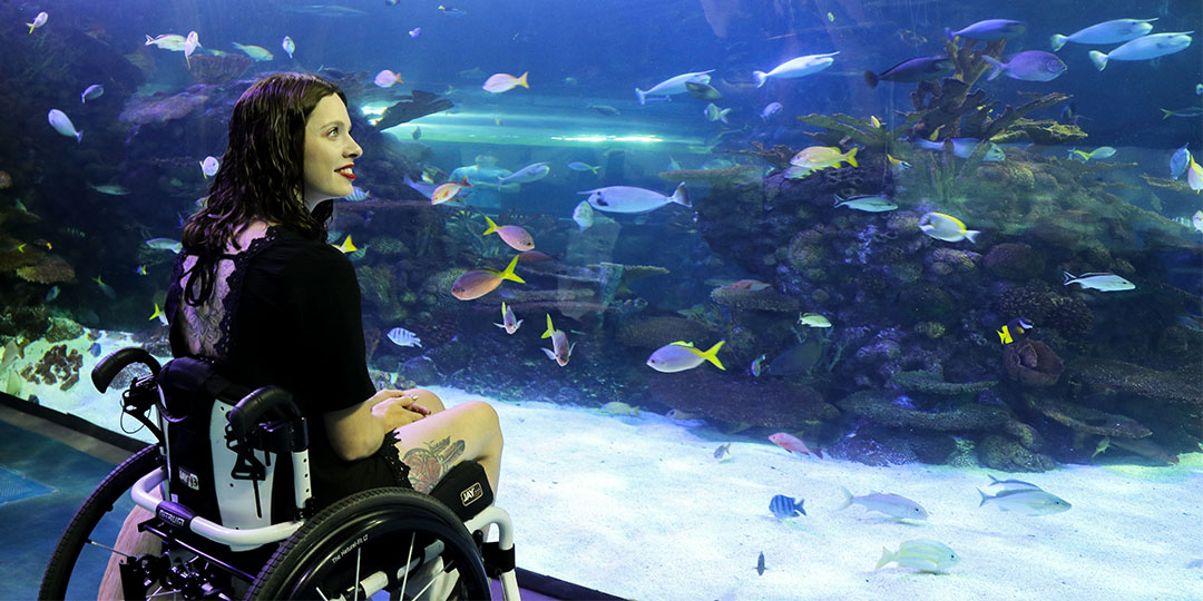 Branson Explores Its Accessibility with Influencer Visit